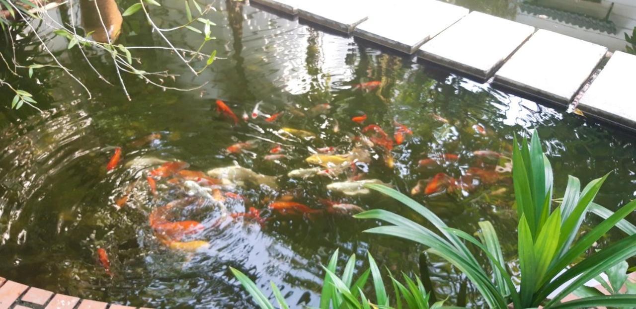 Konklor Hotel Kon Tum Luaran gambar